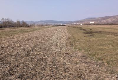 Teren Construcții intravilan de 1500 mp, în Orheiu Bistriței - 1