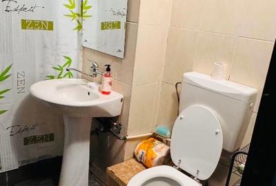 Apartament cu 2 camere decomandat, mobilat în Dacia - 11