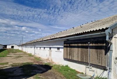 Teren de 26395 mp, în Șimnicu de Sus - 2