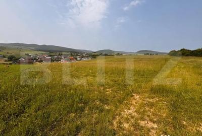 Teren de 900 mp, în Central - 5