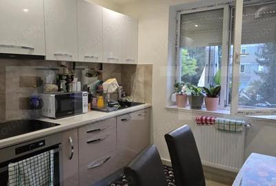 Apartament de vanzare, cu 2 camere, 55 mp, zona Careiului - 10