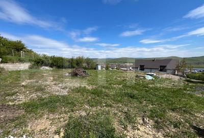 Teren de 1000 mp, în Viișoara - 7