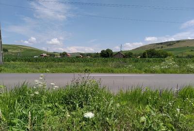 Teren Construcții intravilan de 6600 mp, în Mărășești - 5