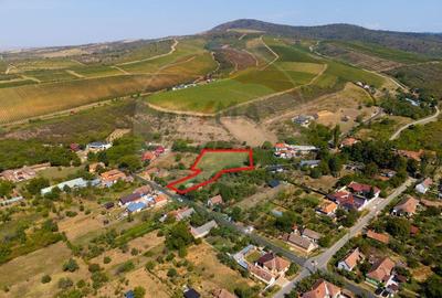 Teren de 4184 mp, în Miniș - 2