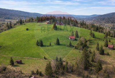 Teren Construcții intravilan de 6500 mp, în Arieșeni - 7