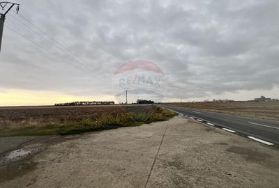 Teren agricol extravilan de 27882 mp, în Exterior Est - 8