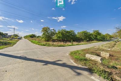 Teren intravilan 6115mp pentru investiții Firiteaz Teren intravilan 6115mp pentru investiții Firiteaz - 1