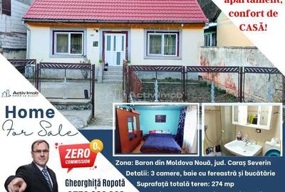 MOLDOVA NOUA, Casa 3 camere, Suprafata totala teren: 274 mp - 11