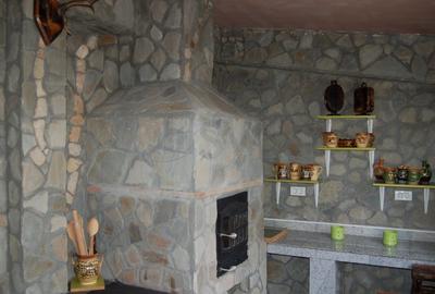 REV0002800 Vila de vanzare cu vedere la lac Laguna Albastra Corbeanca - 35