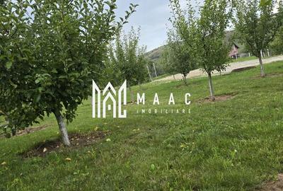 Teren Intravilan | 670 Mp |  Daia - 4