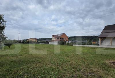 Teren intravilan 15 ari, zona Viile cu Pomi, 76000 euro - 3