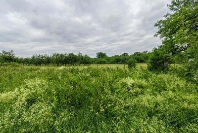 Teren de 18645 mp, în Sântămăria de Piatră - 2