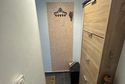 Garsonieră decomandată în Ozana - 5