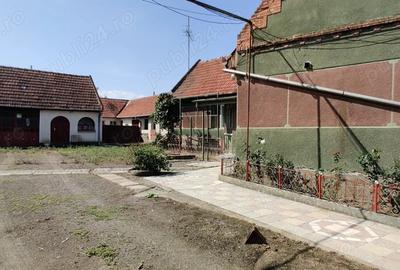 Casa gospodarie in Belint - 2