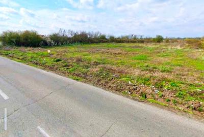 Teren intravilan 1.900 mp – Buturugeni, Giurgiu (direct proprietar) - 2