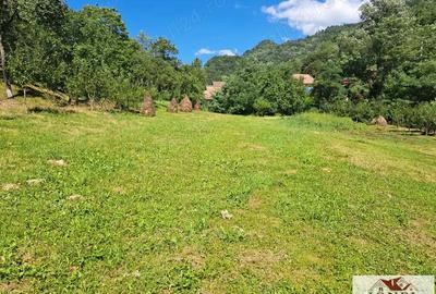 Casa de vanzare in zona Vintu cu 10.790 mp teren Casa de vanzare in zona Vintu cu 10.790 mp teren - 12