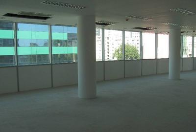 Premium Point, Victoriei, 422 - 1211 mp  0% comision! - 15