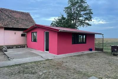 Casă cu 3 camere cu Teren 581 Mp în Grabaț - 3