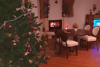 Casă cu Teren 500 Mp în Roșu - 8