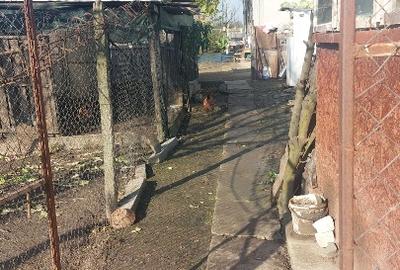 Vand casa loc.Platonesti, Jud.Ialomita - 10