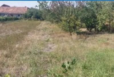 Teren 934 mp Ghimbav - 5
