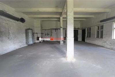 Spațiu comercial, de 1,500 mp, în Vașcău - 8