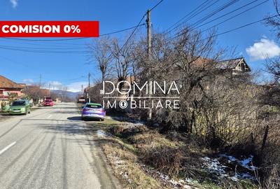 Teren Construcții de 6504 mp, în Curtișoara - 1