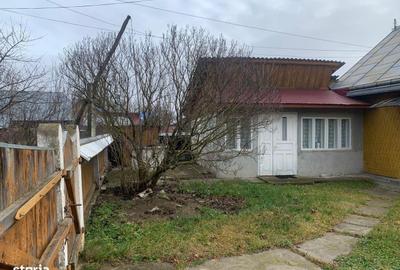 Casă cu 3 camere cu Teren 7600 Mp în Putna - 17