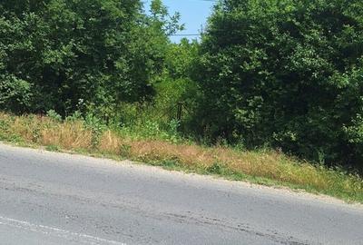 Teren în Central - 16