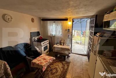 Casă cu 3 camere cu Teren 4200 Mp în Central