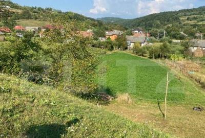 Casa de vanzare in Chiuie?ti Comision 0% la cumpara Casa de vanzare in Chiuie?ti Comision 0% la cumpara - 12