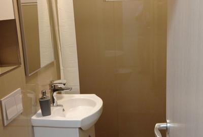 Apartament cu 2 camere nedecomandat în Central - 4