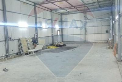 Spațiu industrial, de 160 mp, în Mirceștii Noi - 4