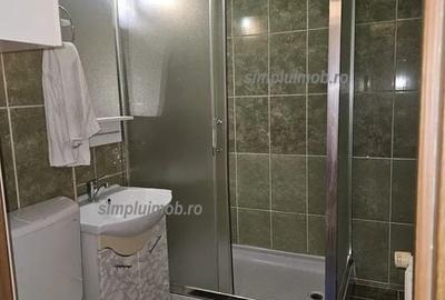 Apartament cu 2 camere semidecomandat, mobilat în Liviu Rebreanu - 8