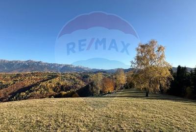 Oportunitate de investiție ! Teren de vis în Pestera - 125.370 mp - 17