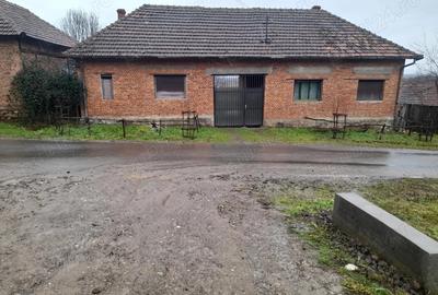 Casă cu Teren 1400 Mp în Feniș - 3