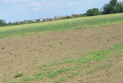 Spațiu comercial, în Central - 2