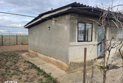 Casă cu 3 camere cu Teren 5239 Mp în Brazi - 6