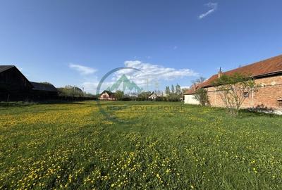 Teren 9500 mp plus Casa plus Anexe Gospodaresti - 8