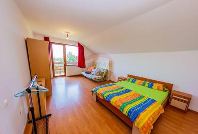 Vila de vanzare cu priveli?te superba Cicarlau - 7