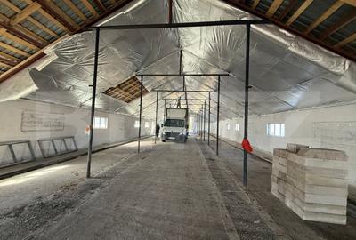 Spațiu comercial, de 700 mp, în Industrială - 7