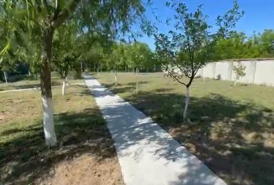 Casă individuală cu 6 camere cu Teren 5000 Mp în Malu Mare - 3