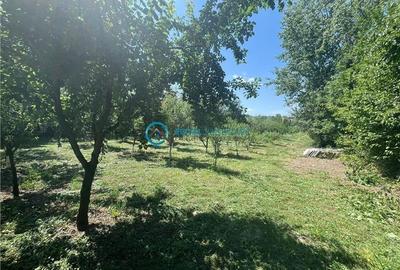 Royal Imobiliare-Vanzare Vila Zona Romanesti - 26