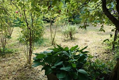 Casă individuală cu 5 camere cu Teren 605 Mp în Exterior Est - 12