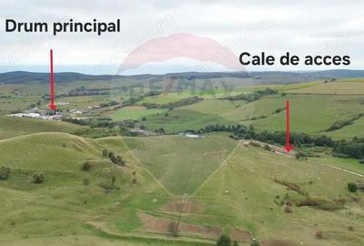 Teren de vanzare, 65 hectare - Agnita - 8