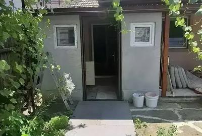 Casa la curte voluntari - 3
