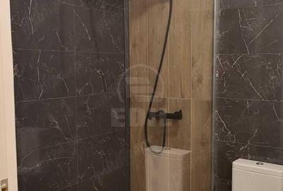 Apartament 2 camere Teilor - 3