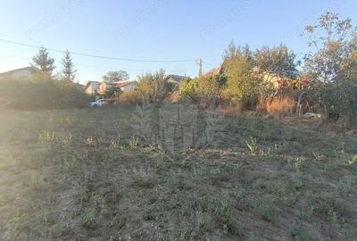 Teren de 3017 mp, în Plopu