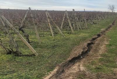 Spațiu comercial, în Slobozia Bradului - 5