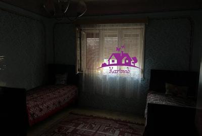 Casă cu 3 camere cu Teren 4147 Mp în Ianoșda - 10